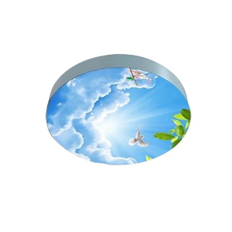 Light Box For Ceiling Display